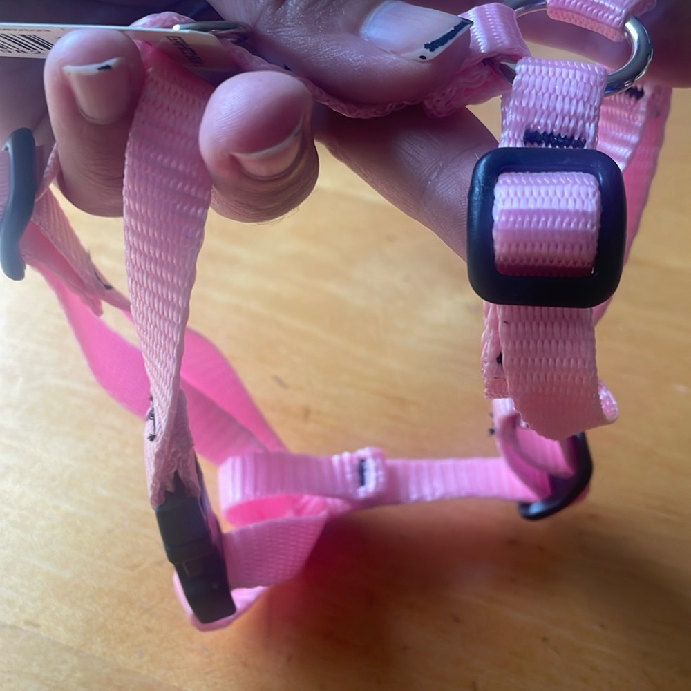 Lupine Roman Harness 1/2in 9-14”